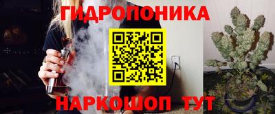 a pvp Будённовск