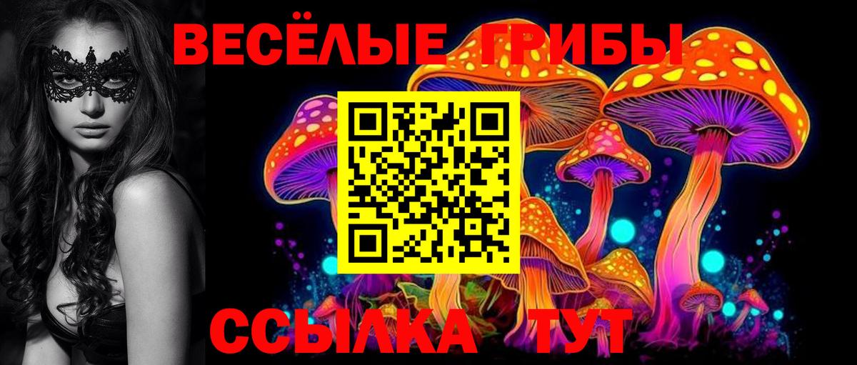 Псилоцибиновые грибы Psilocybe Свободный