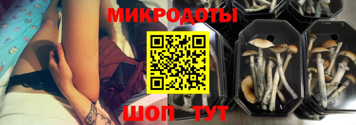 Псилоцибиновые грибы ЛСД  Вход с VPN  Свободный 